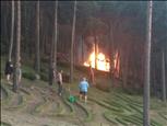 Veïns i bombers sufoquen un petit foc a la urbanització Els Jardins de Juberri
