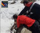 Els bombers rescaten un gos que havia caigut a sis metres de fondària sota la neu