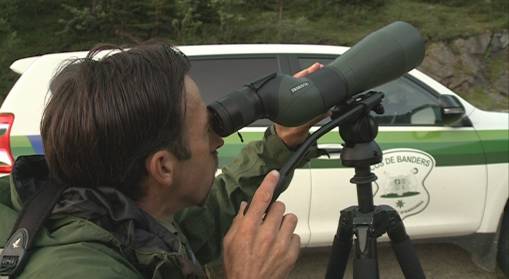 Medi Ambient flexibilitza els criteris per a la setmana de la caça i permet capturar 110 isards