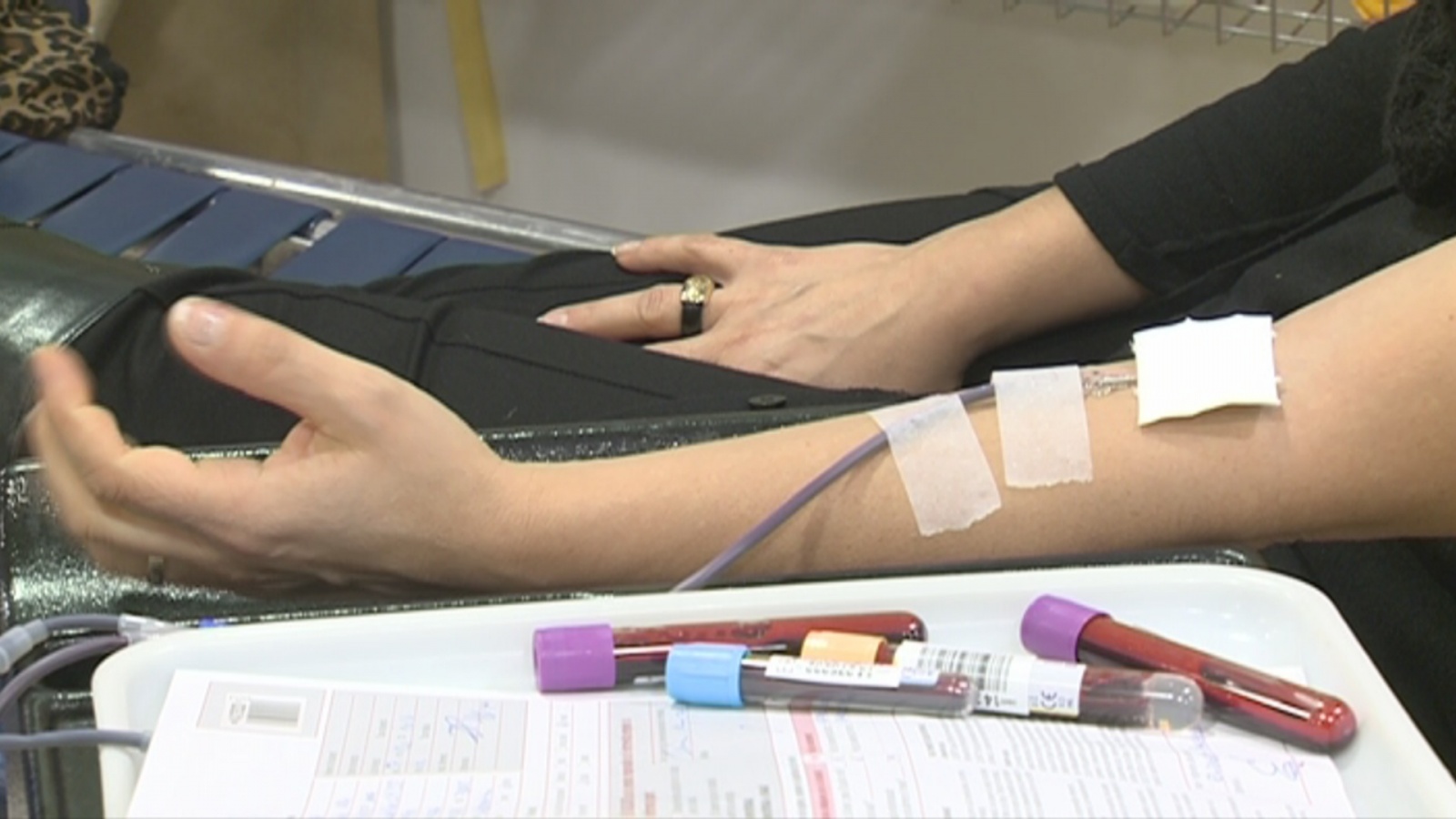 La Creu Roja busca captar nous donants de sang amb una nova campanya