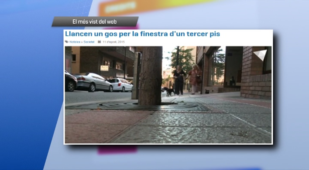 La notícia del gos llançat per la finestra, el més vist a Andorra Difusió