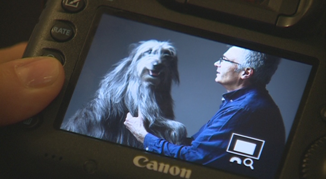 Els gossos protagonistes de les càmeres durant la tercera edició d''El meu gos i jo'