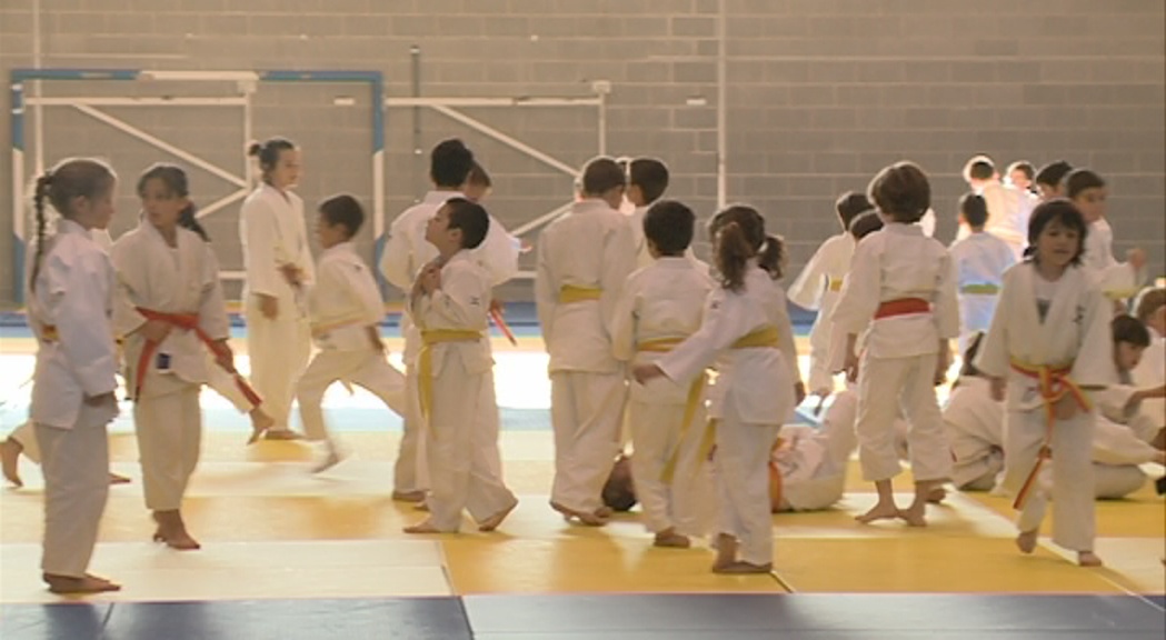 Torn de les categories de base al Campionat d'Andorra de judo