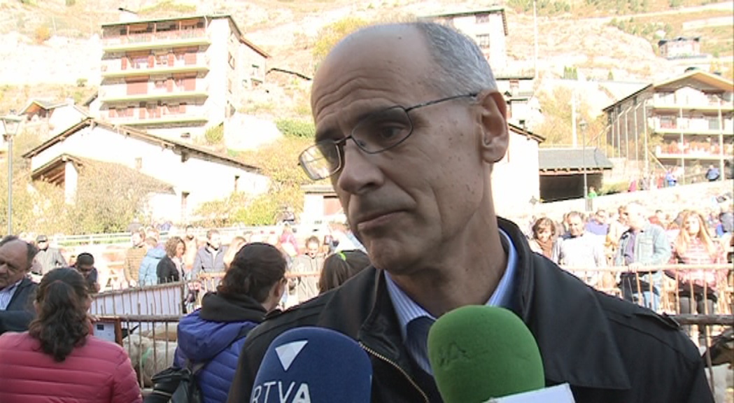 Martí, preocupat per les conseqüències a Andorra de l'article 155 a Catalunya