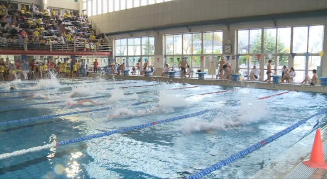 Uns 350 nedadors participen en el Trofeu Hipocampus de natació