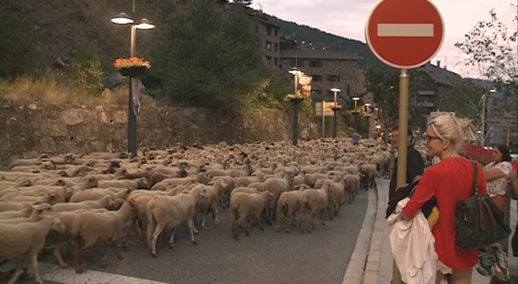 1.700 ovelles envaeixen l'avinguda Rocafort