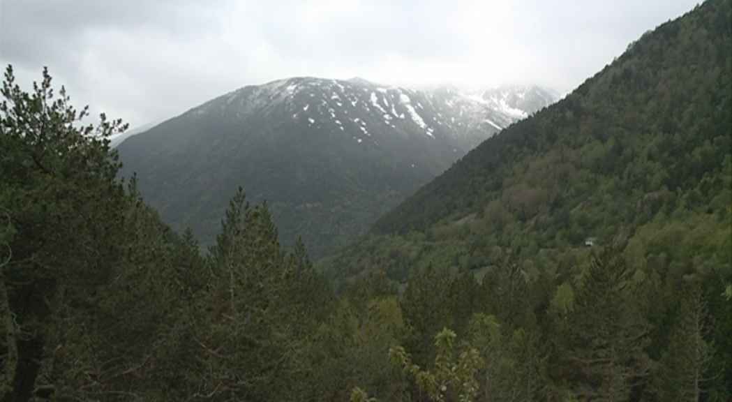 Front comú dels parcs naturals del Pirineu per protegir la biodiversitat