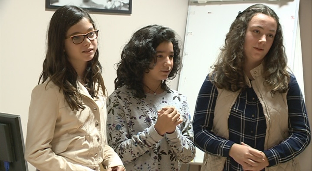 Un treball sobre l'assetjament escolar guanya el primer concurs de l'Institut dels drets humans al Lycée