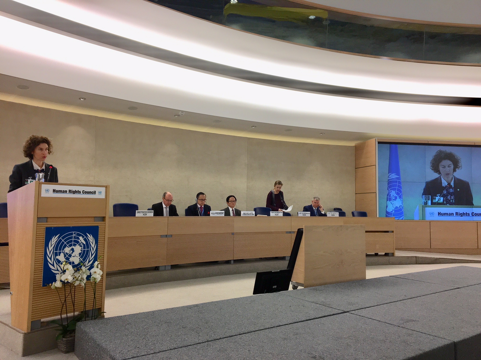Ubach exposa al Consell dels drets humans els passos d'Andorra per complir les recomanacions