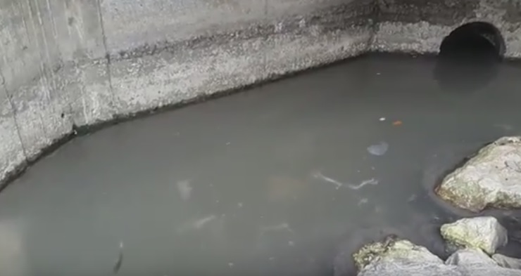 Un ciutadà denuncia amb un vídeo un vessament d'aigües residuals al riu Valira