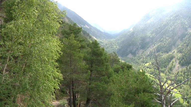 Un cop més la Vall del Madriu-Perafita-Claror ha tornat a centrar