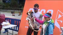 La 2a edició de l'OTSO Trail Dog obre inscripcions amb 100 places 