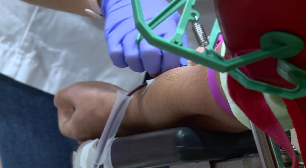 345 donacions de sang en la quarta campanya de la Creu Roja