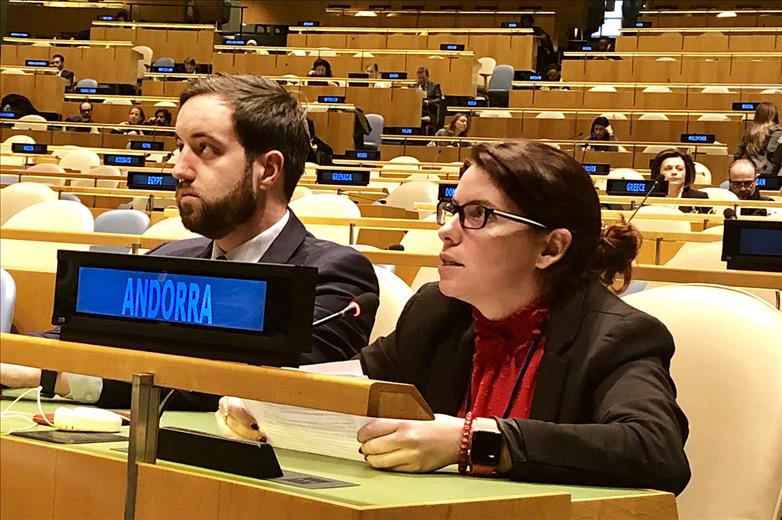 Andorra ha participat en la 63a sessió de la Comissi&oacut