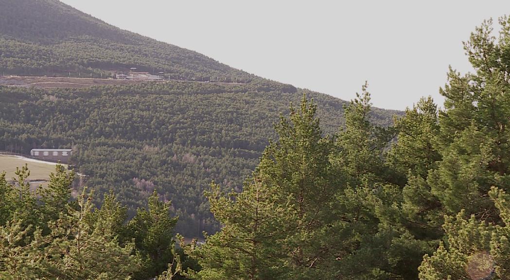 Andorra Recerca i Innovació proposa treure rendiment de la massa forestal per reduir el risc d'incendi 