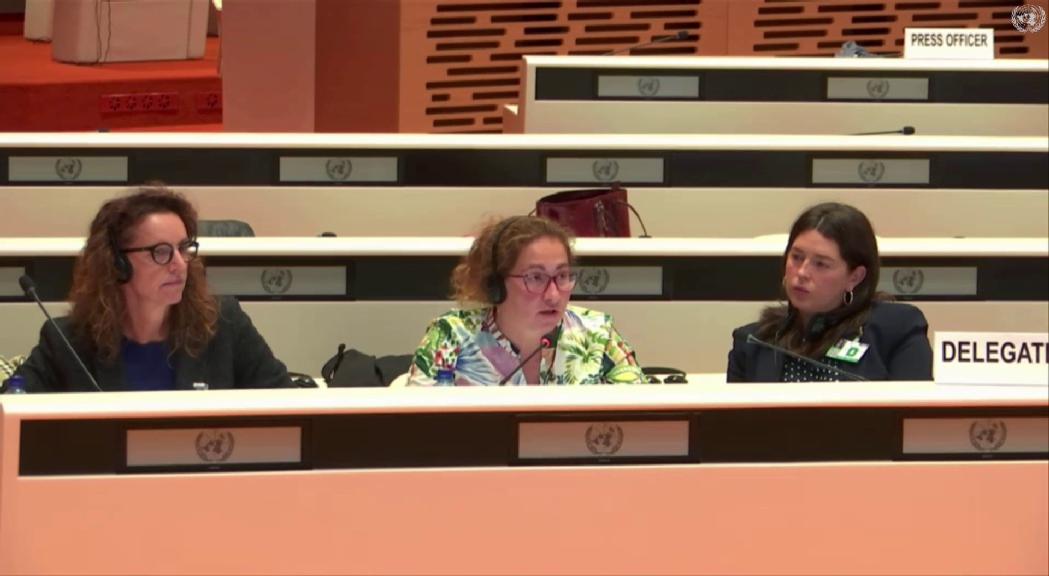 Andorra referma a l'ONU que la despenalització de l'avortament posaria en risc el model d'estat