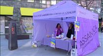 Assandca vol començar a fer xerrades de conscienciació sobre el càncer a les escoles