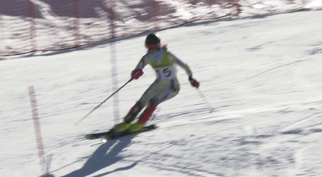 Jornada rodona per la Federació d'Esquí amb doble v