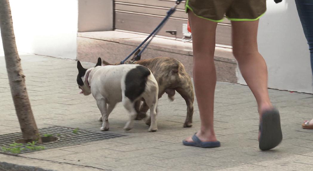 Dos agents de circulació controlaran que els ciutadans amb gos de Sant Julià compleixin la normativa