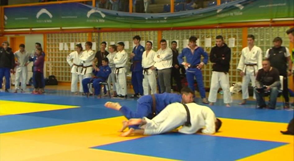 Els judokes andorrans han firmat una bona actuació a la Co
