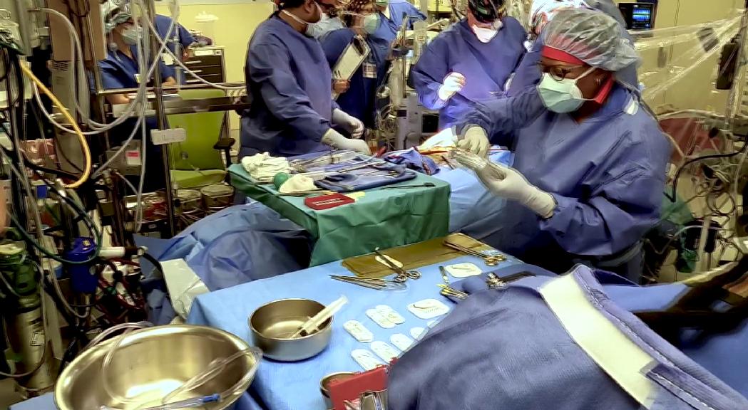 Espanya lidera la donació d'òrgans