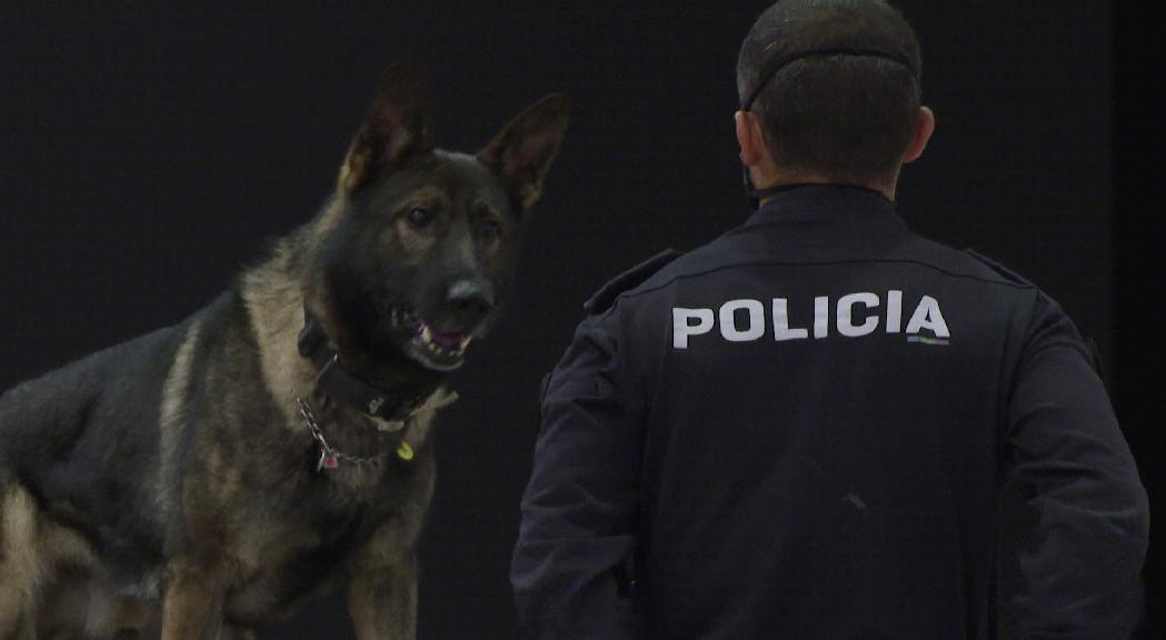 Els gossos policia i bomber, protagonistes de l'última jornada de la Fira Animalista
