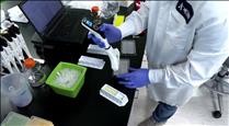 El Govern regula l'ús dels tests ràpids d'antígens