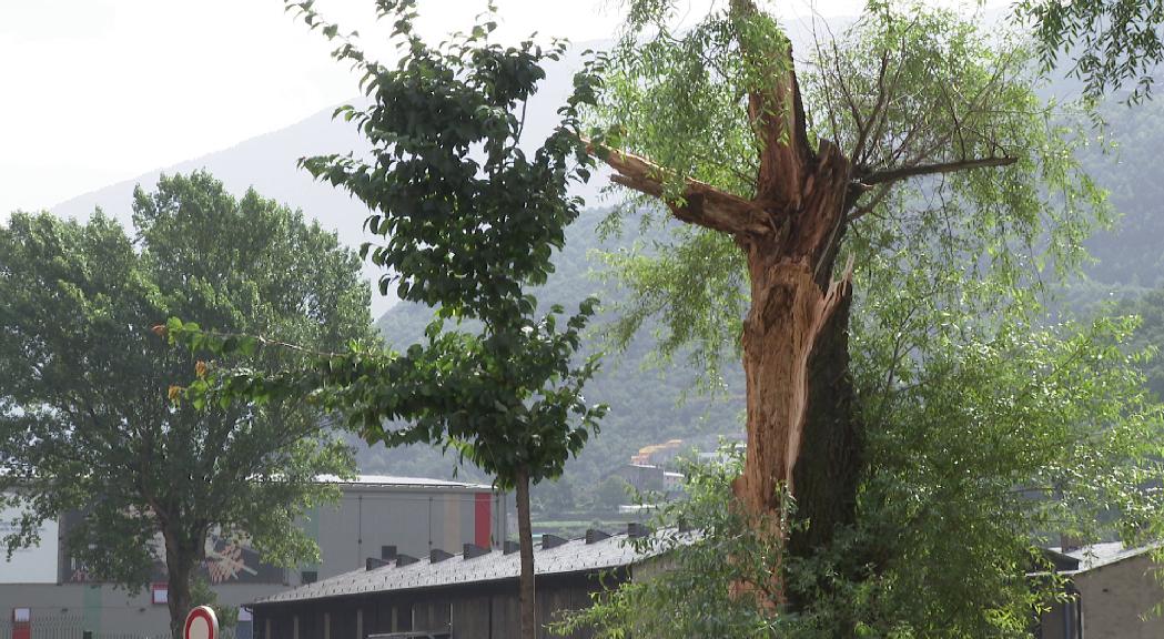 Els incidents per l'impacte de la tempesta d'aquest diumenge es continuaran reparant en els propers dies 
