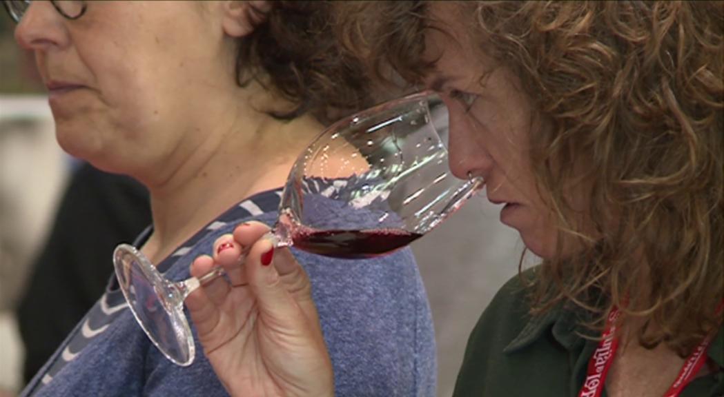 Les Jornades de vins de muntanya de Sant Julià reuneixen 19 cellers europeus i més de 40 especialistes
