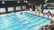 Més de 300 nedadors al Trofeu Hipocampus 