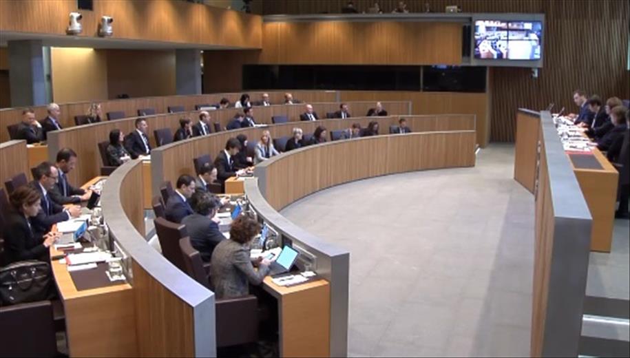 En Consell General ha aprovat per unanimitat l’adhesi&oacut