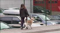 El moviment contra la taxa de tinença de gossos estudia convocar una manifestació pacífica
