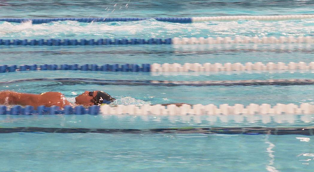 Participació andorrana al Campionat d'Espanya de natació