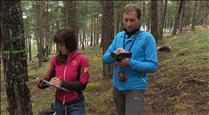 Reportatge: neix l'Inventari Nacional Forestal per fer una radiografia dels boscos i veure'n l'evolució