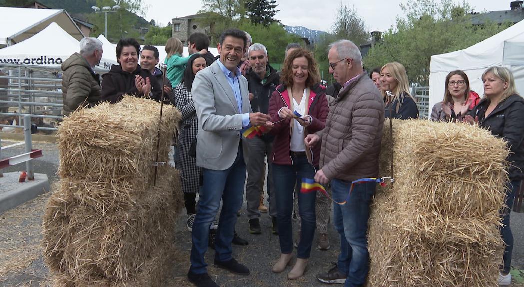 Segon any de la fira del bestiar d'Ordino amb l'objectiu de donar força i continuïtat al sector ramader