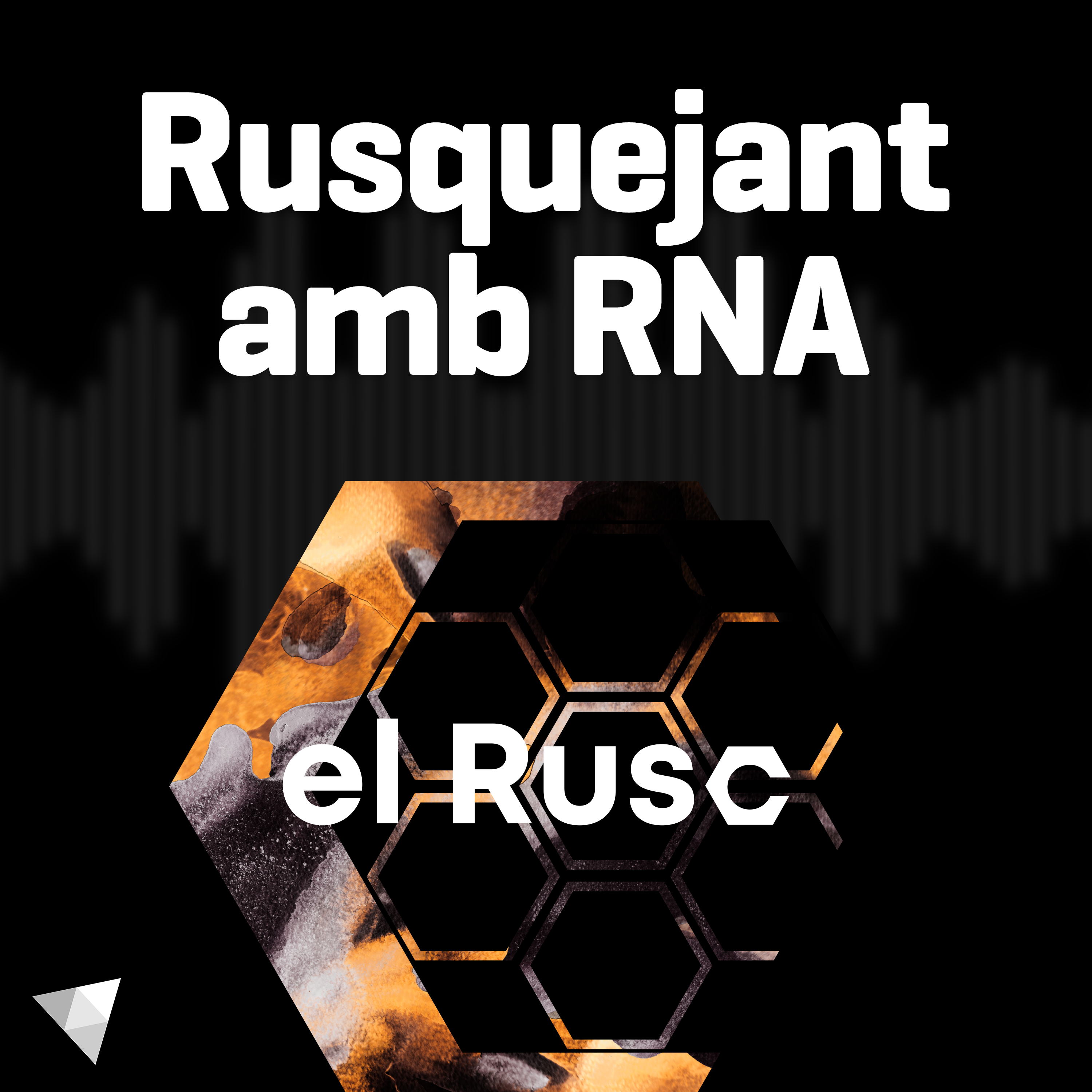 Rusquejant amb RNA