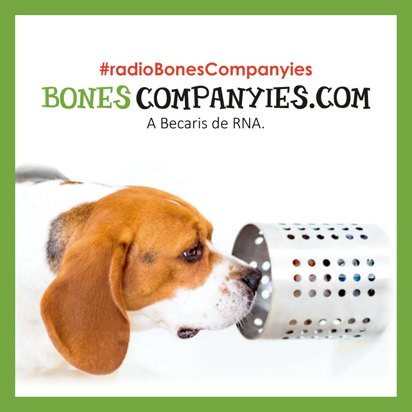 Teràpies naturals a Bones Companyies