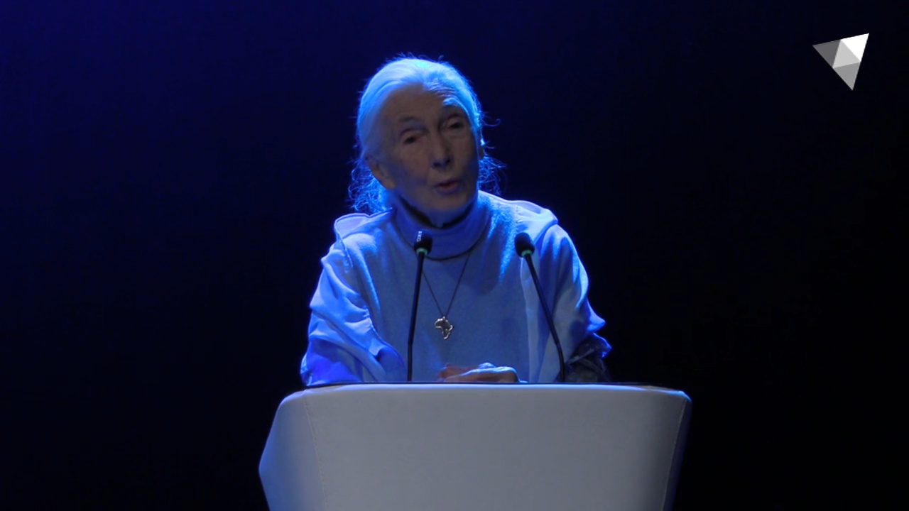 Jane Goodall - "Raons per a l'esperança"
